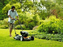 Бензиновые газонокосилки купить по низким ценам для сада, дачи
