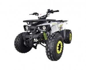Квадроцикл FORTE Hunter 125 біло-зелений