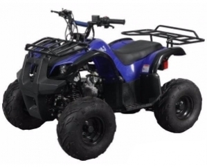 Квадроцикл Spark SP110-3