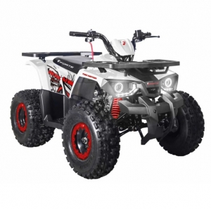Квадроцикл  Forte Hunter 125