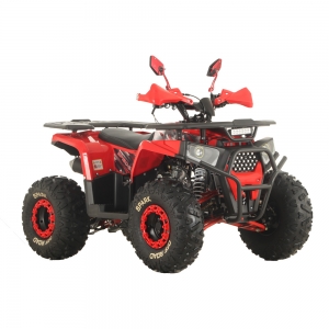Квадроцикл SP150-5