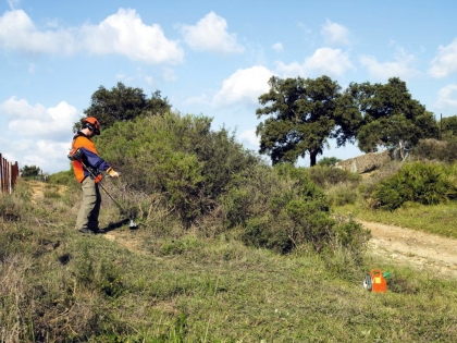 Мотокоса Husqvarna 333R