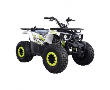 Квадроцикл FORTE Hunter 125 біло-зелений