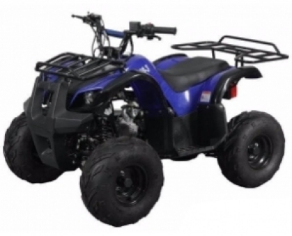 Квадроцикл Spark SP110-3