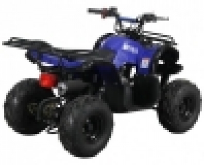 Квадроцикл Spark SP110-3