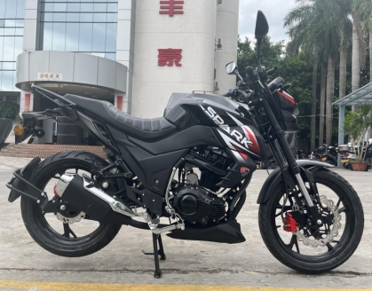 Мотоцикл SP250R-33